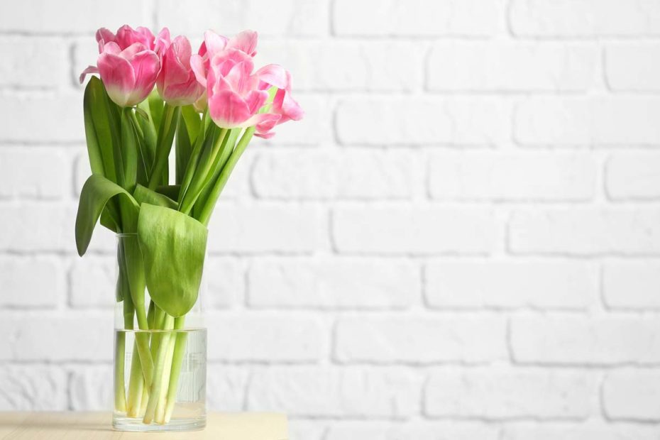 Rosa Tulpen in Vase