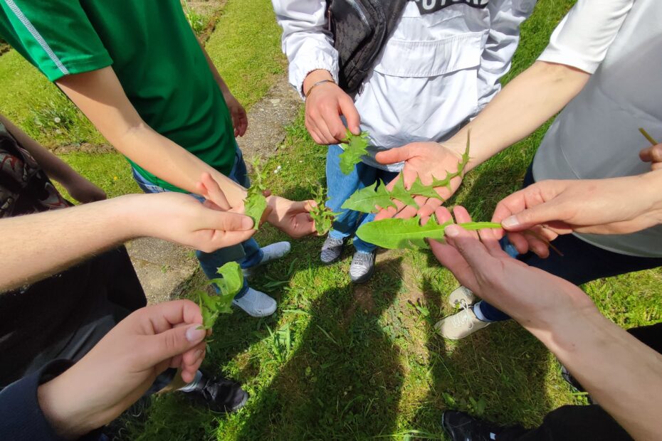 Schüler zeigen verschiedene Kräuter in ihren Händen