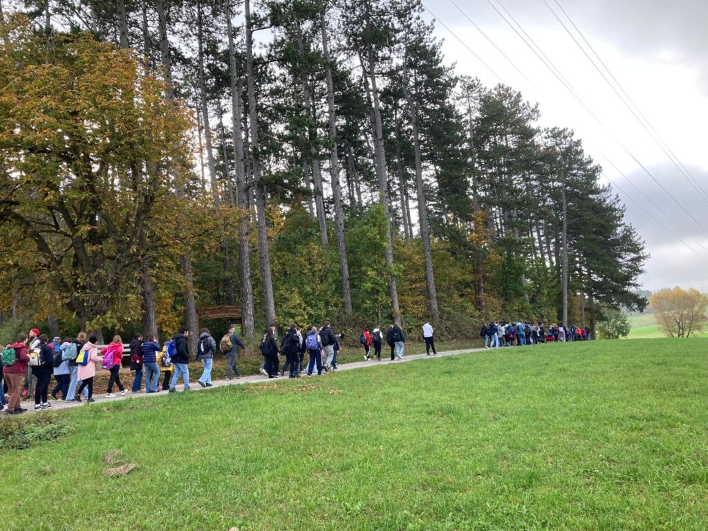 Gruppe von SuS wandert am Waldrand entlang