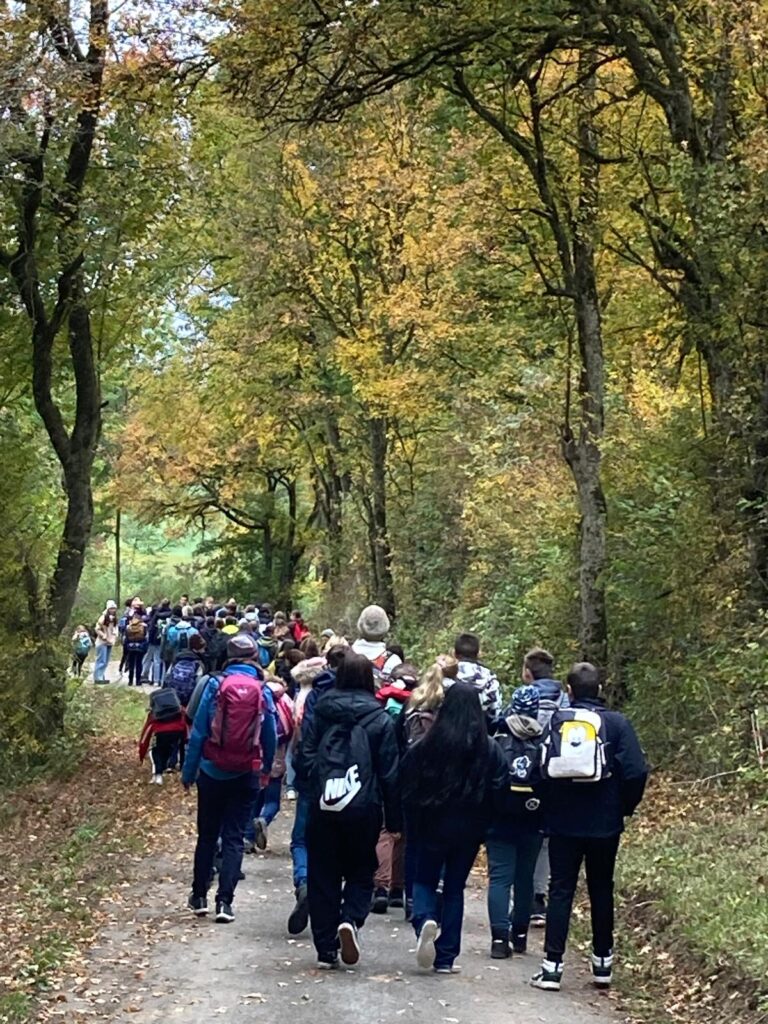 Gruppe von SuS wandert durch den Wald