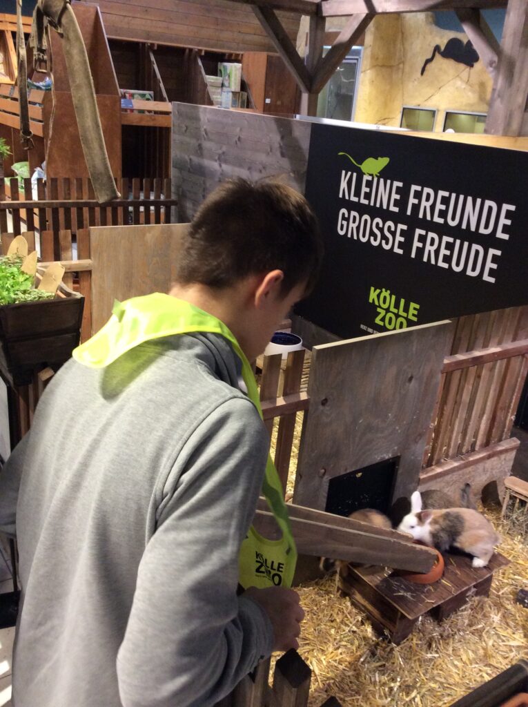 ein Schüler beobachtet das Hasengehege im Kölle Zoo