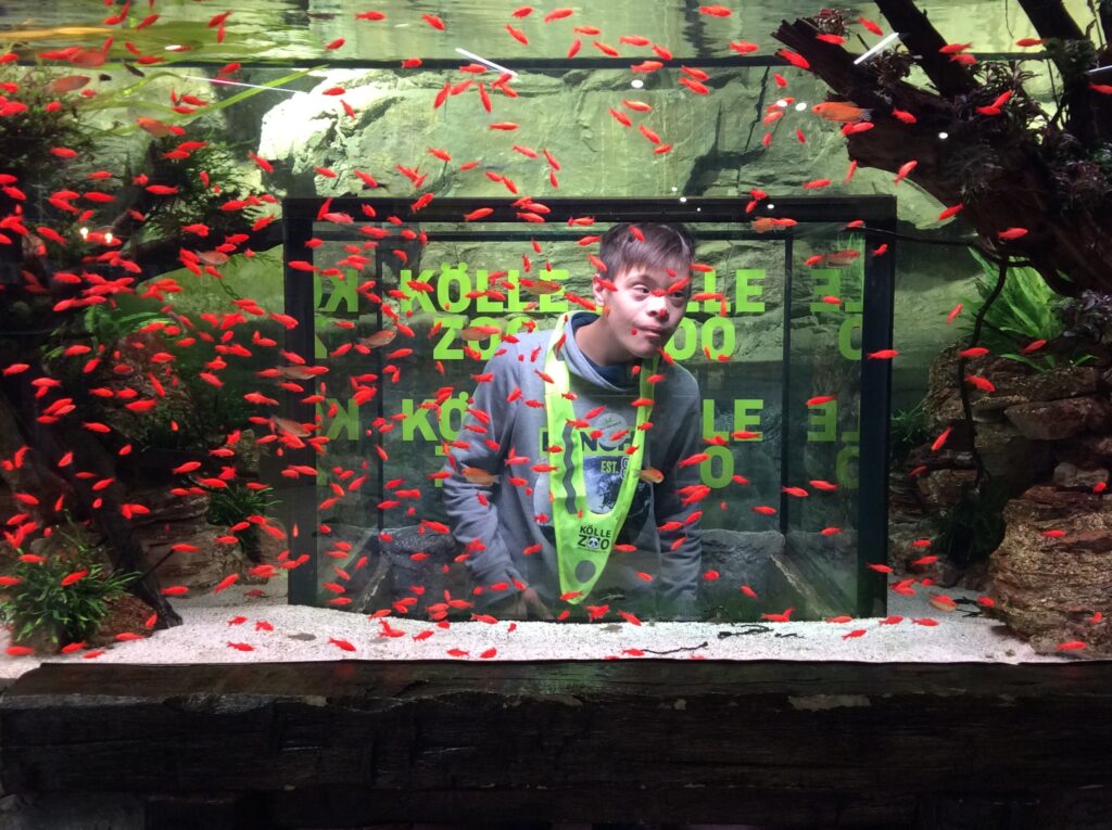 Ein Schüler schaut durch ein Aquarium mit Goldfischen hindurch