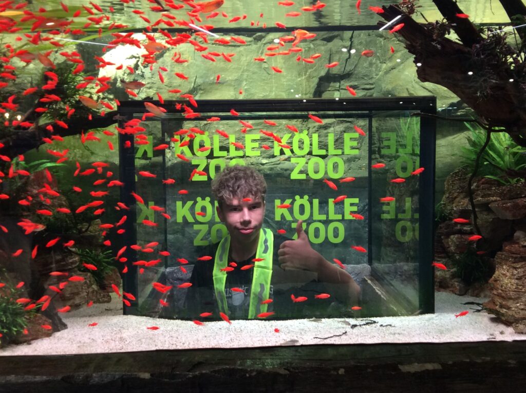 Ein Schüler schaut durch ein Aquarium mit Goldfischen hindurch und hebt den Daumen hoch
