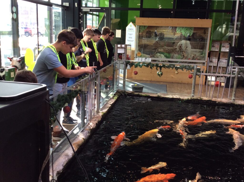 Die Schüler der HS5 stehen am Koibecken im Kölle Zoo