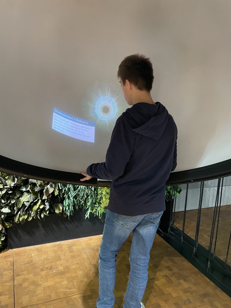 ein schüler betrachtet eine interaktive Station zum Thema Auge