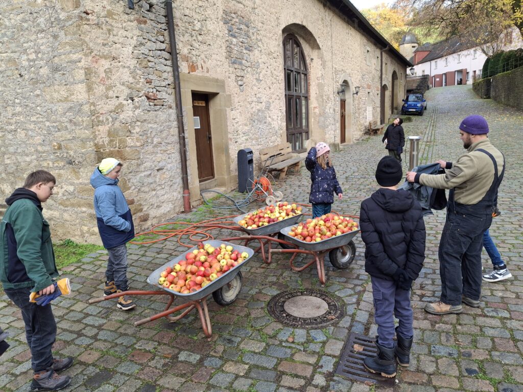 SchülerInnen stehen um drei Schubkarren voller Äpfel