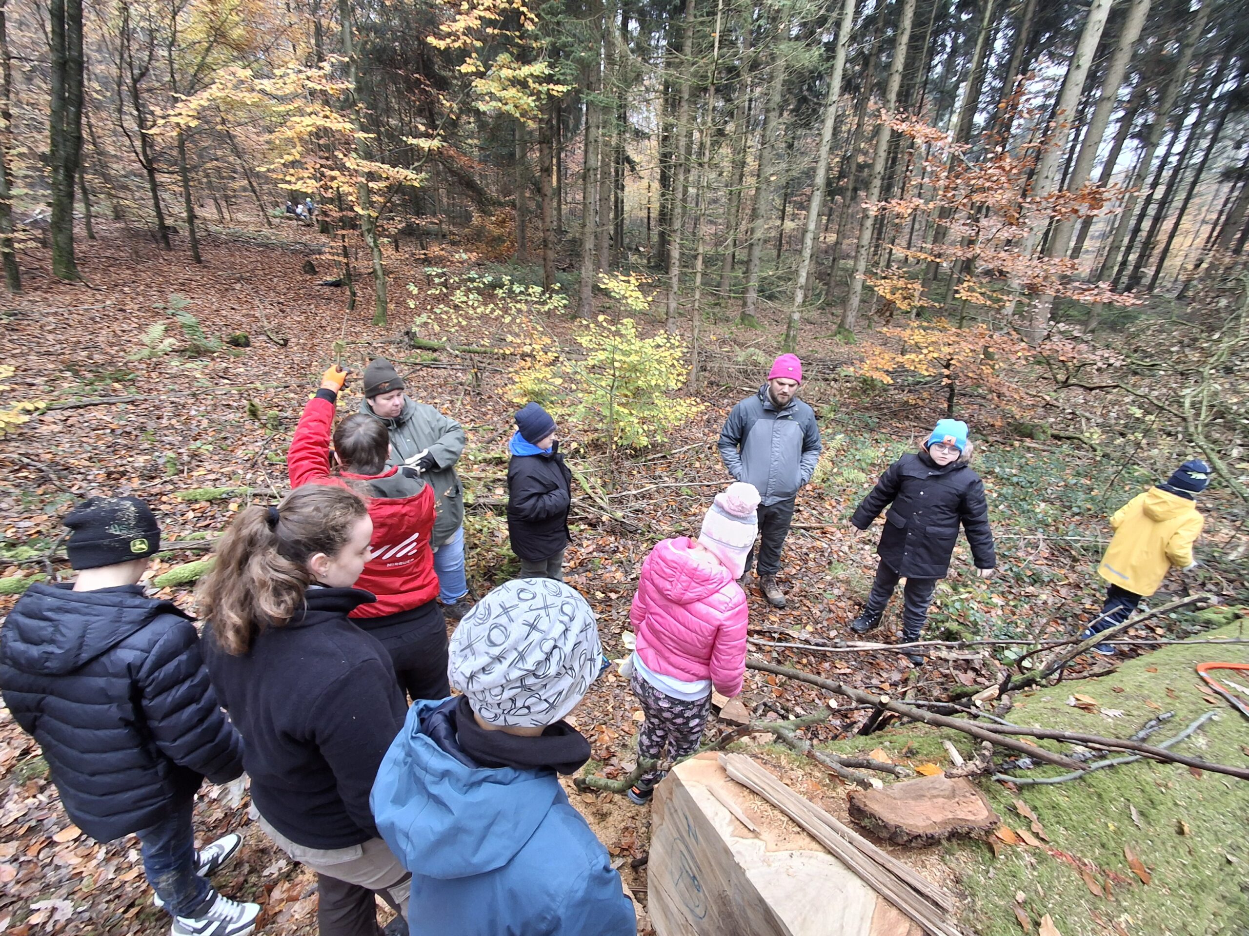 Mehrere SuS stehen im Wald und hören einer Anleitung des Förster zu