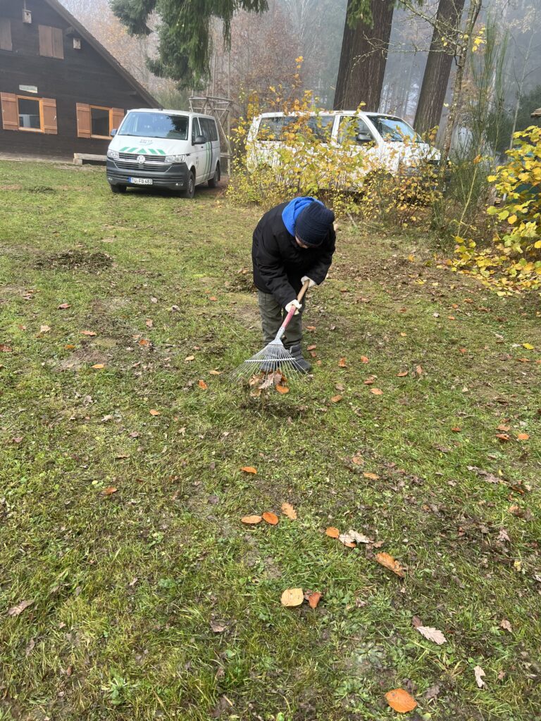 Ein Schüler rechts eine Wiese