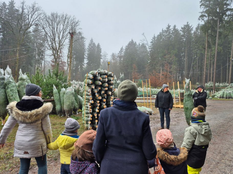 SchülerInnen und Lehrerinnen bei der Auswahl der Weihnachtsbäume