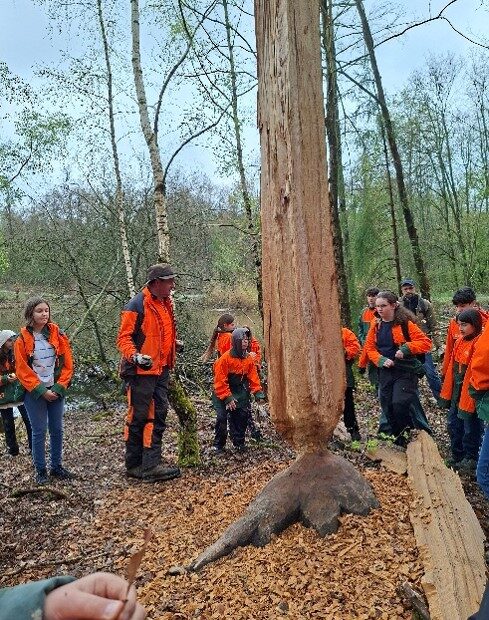 SuS bestaunen einen Baum, der von einem Biber angefressen wurde