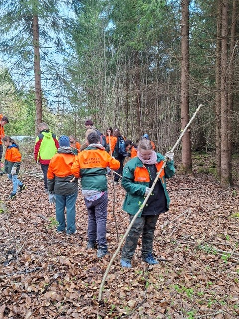 SchülerInnen suchen in Walarbeiterklamotten nach großen Stöcken im Wald