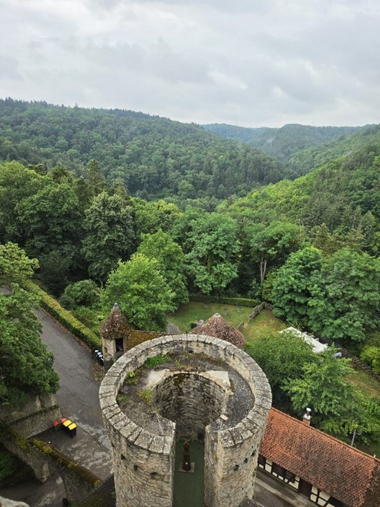 Luftbild auf den Turm und den Wald der Burg Guttenberg
